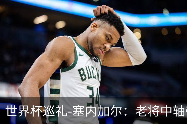 世界杯巡礼-塞内加尔：老将中轴带来安全感，非洲顶流前景可期！
